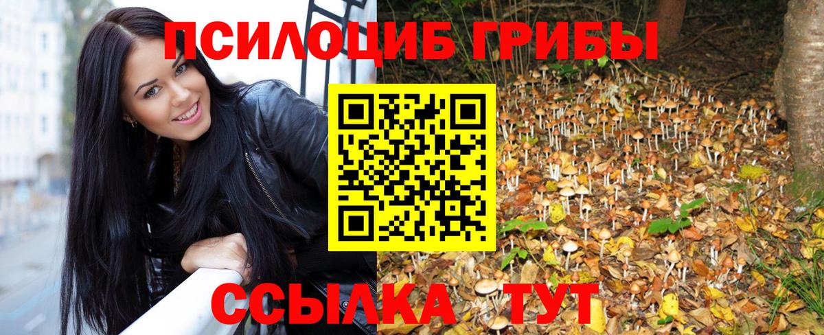 Галлюциногенные грибы Magic Shrooms  как найти   Донской  Вход с VPN  Галлюциногенные грибы мицелий 